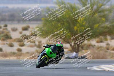 media/Apr-10-2022-SoCal Trackdays (Sun) [[f104b12566]]/Turn 5 Tree of Life (1040am)/